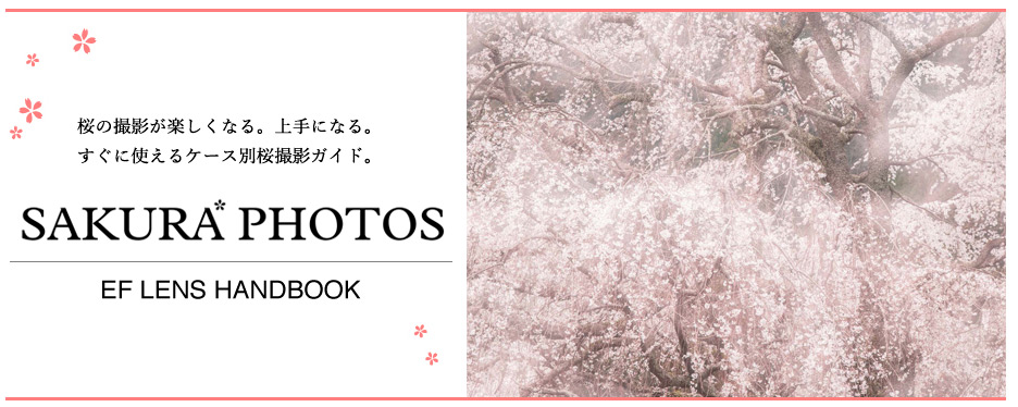 Canon Shooting Sakura Photos