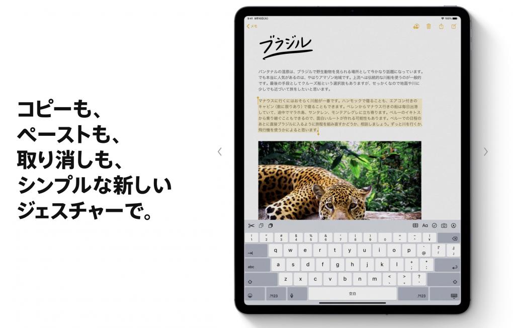 iPadOS-CopyPaste
